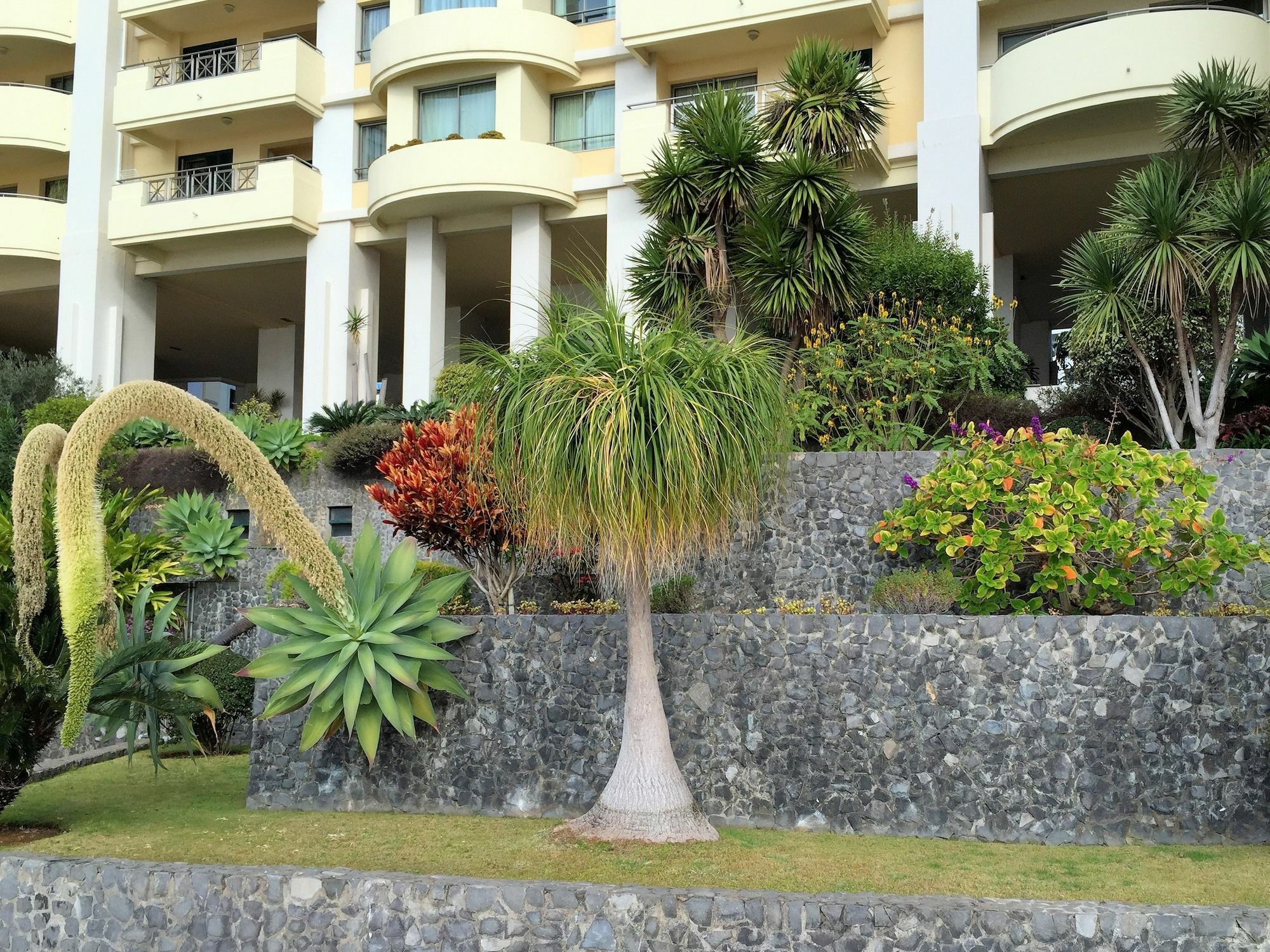 Finest Rentals - Beachfront Penthouse Funchal  Buitenkant foto
